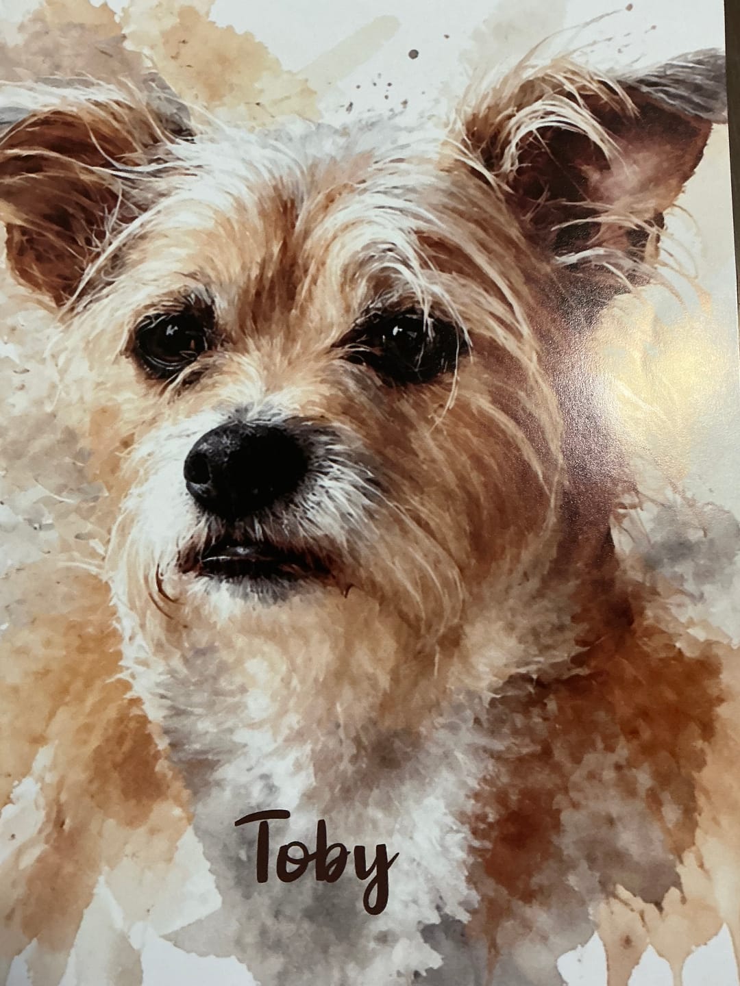 Customer photo review of Watercolor Realistic Portrait - Personalized Poster