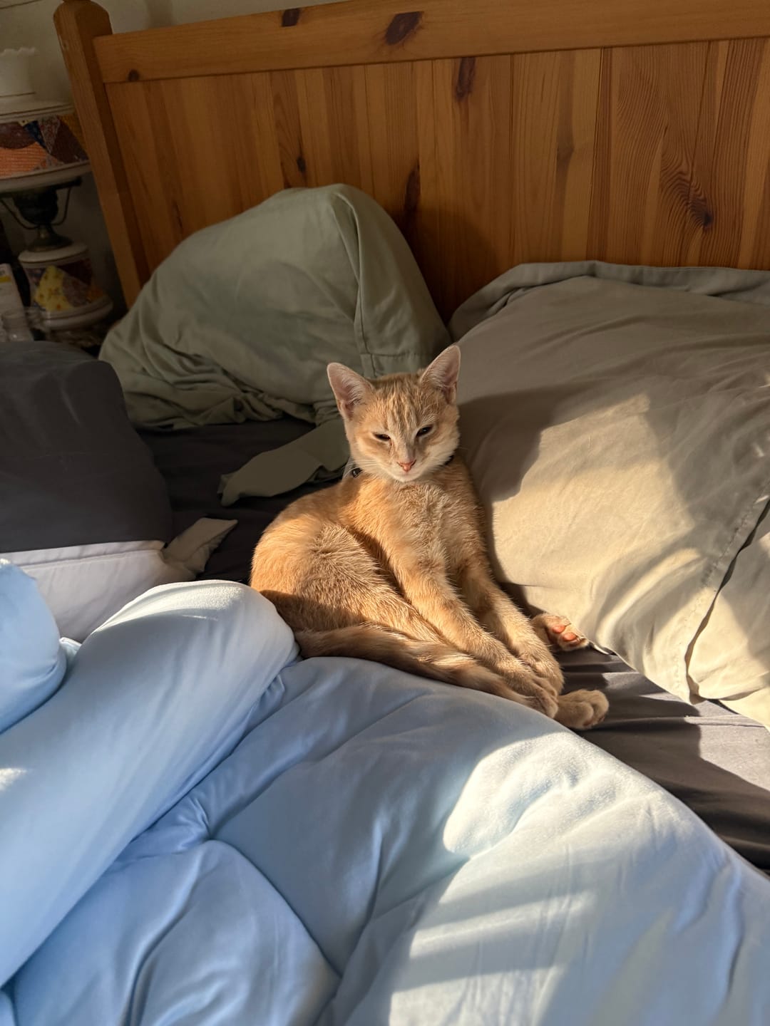 Customer photo review of MarshMellow Comforter