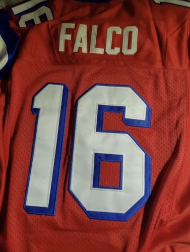 Customer photo review of Custom Red Mesh Authentic Football Jersey with White and Royal Lettering Design 0625
