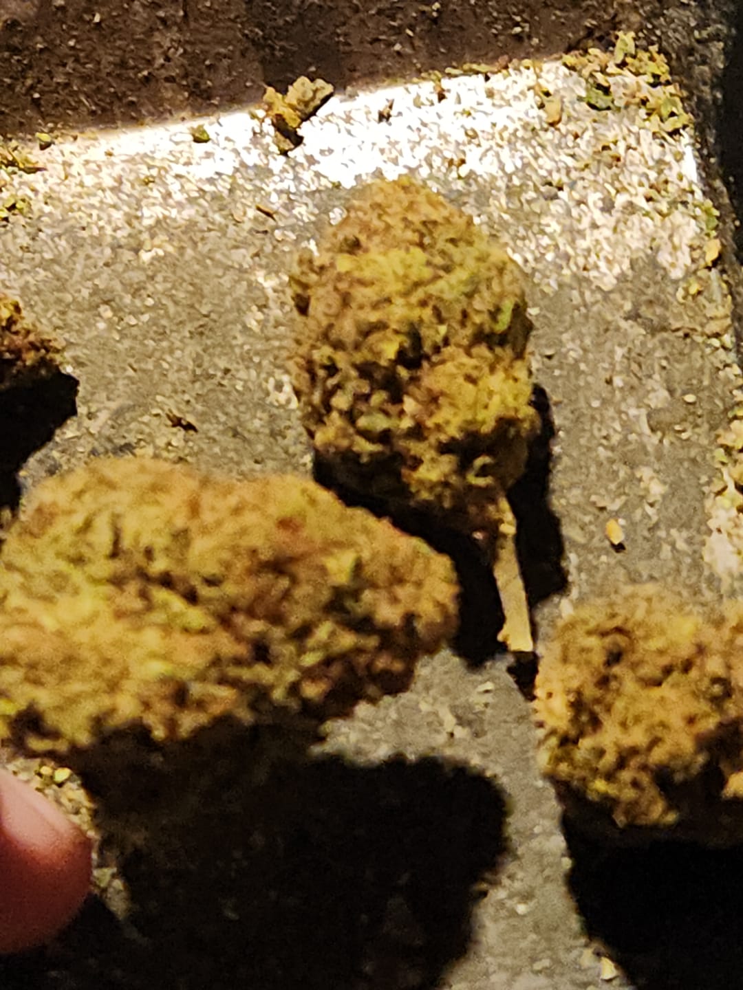 Customer photo review of Snake Venom THCA Flower