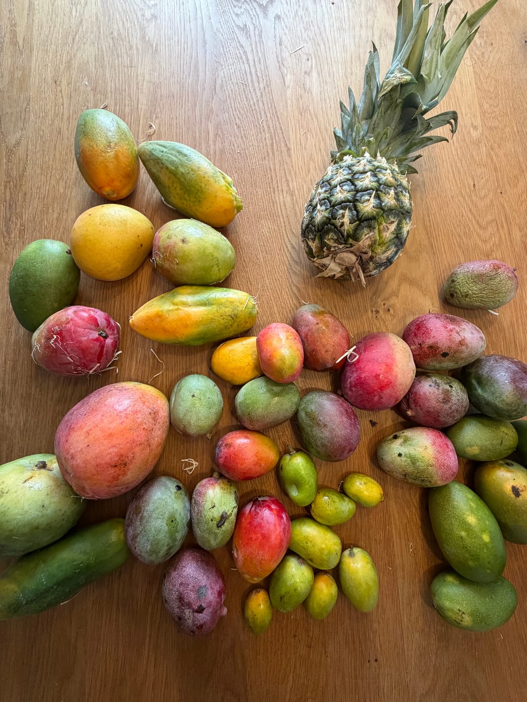 Customer photo review of Mini-Mango von Juan 3kg Retterbox %