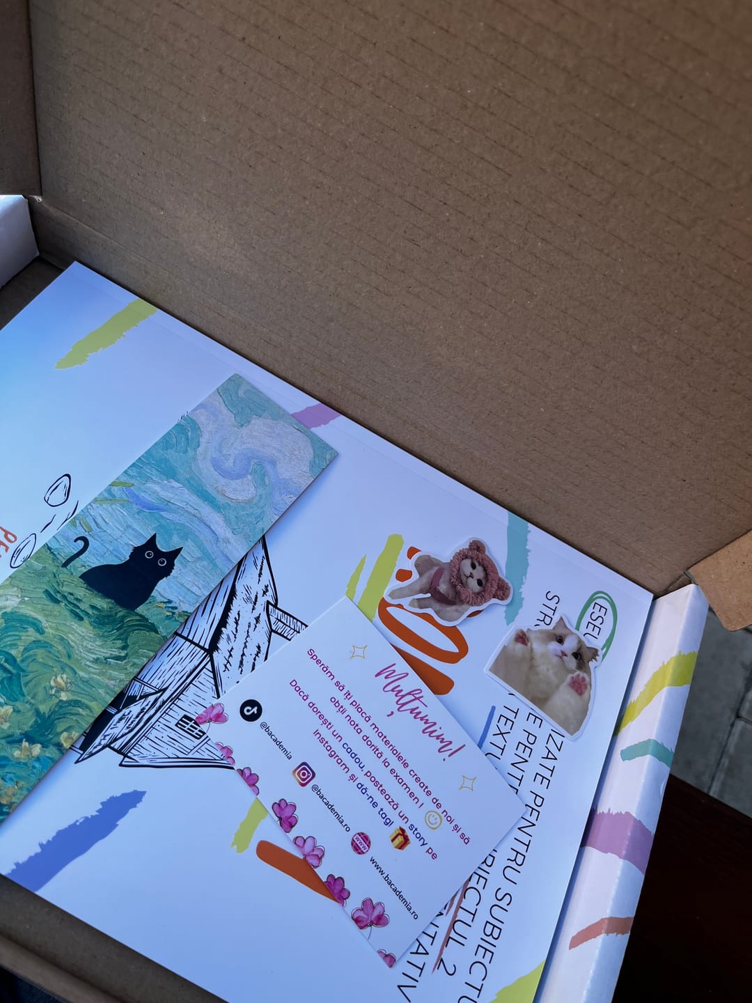 Customer photo review of Carte Română Bacalaureat Bacademia (temă și viziune, caracterizare, relație) - Ediția II