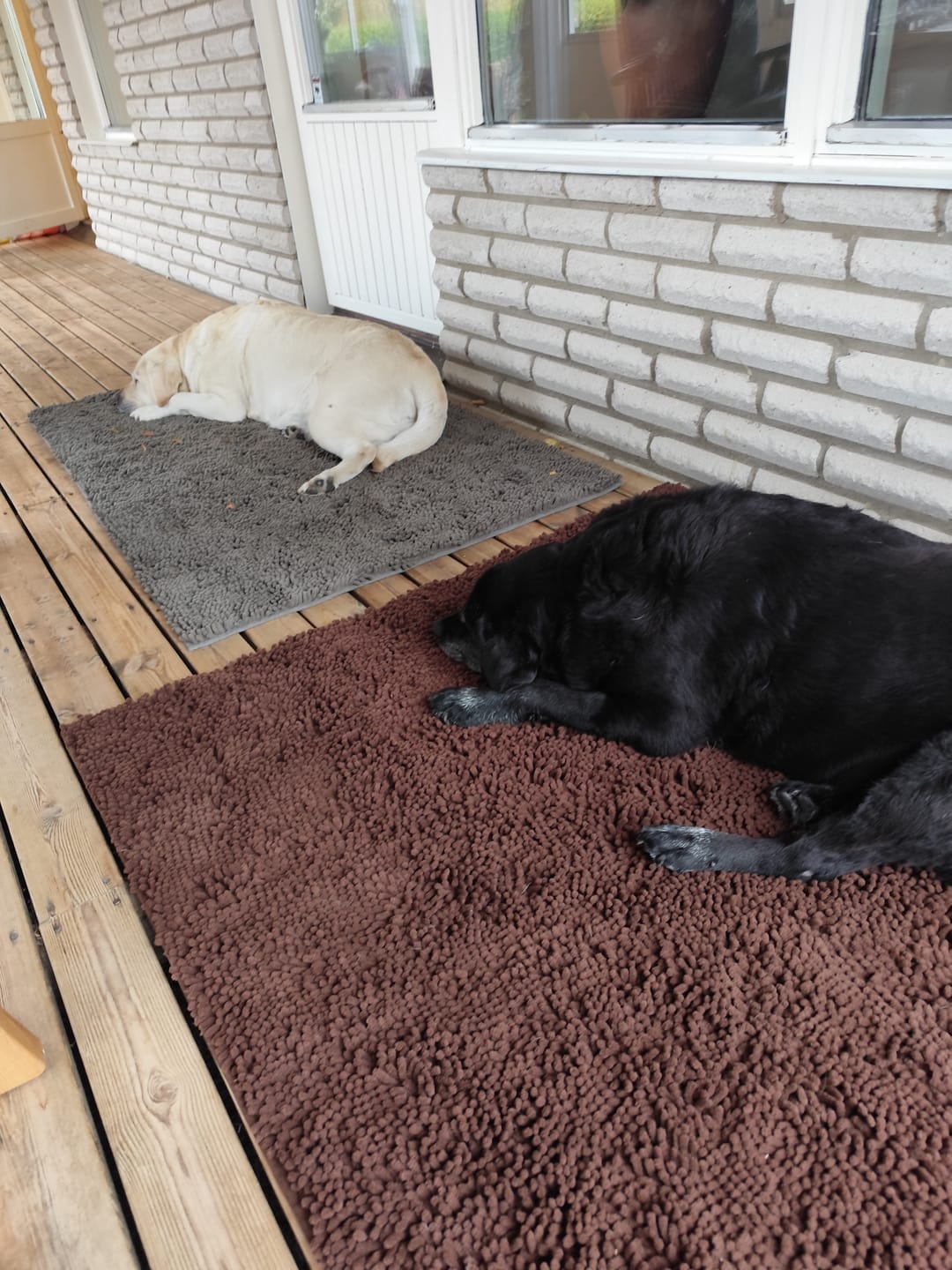 Customer photo review of Tassify – Mattan som håller ditt hem rent