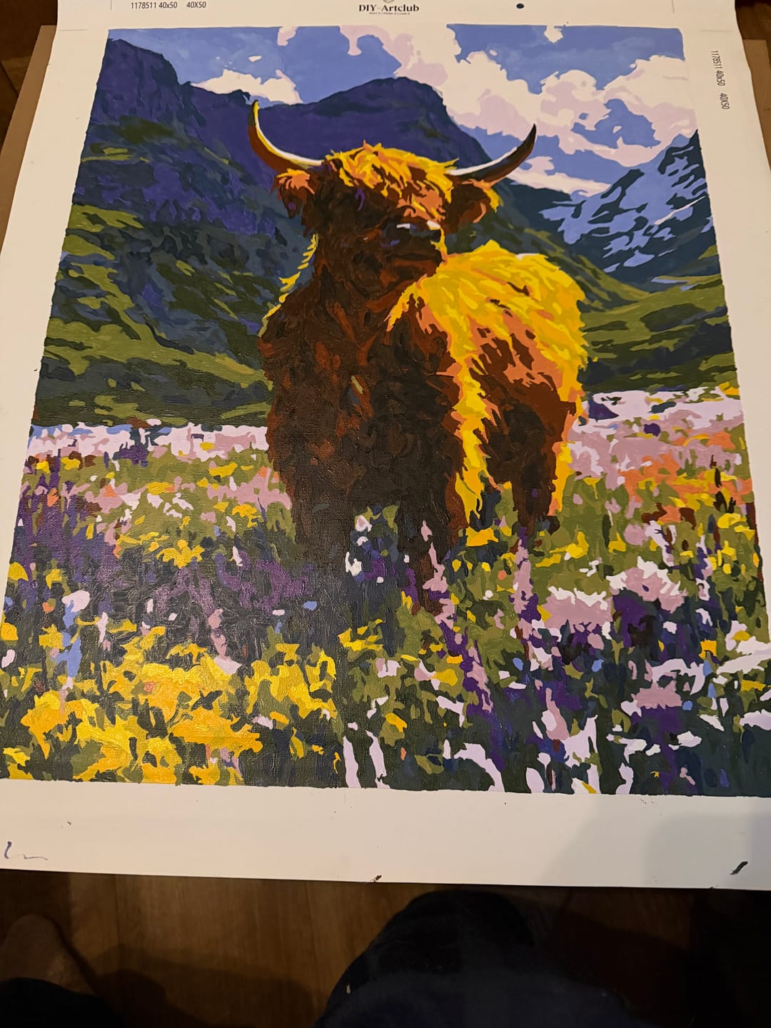 Customer photo review of Meadow Majesty | Paint by Number