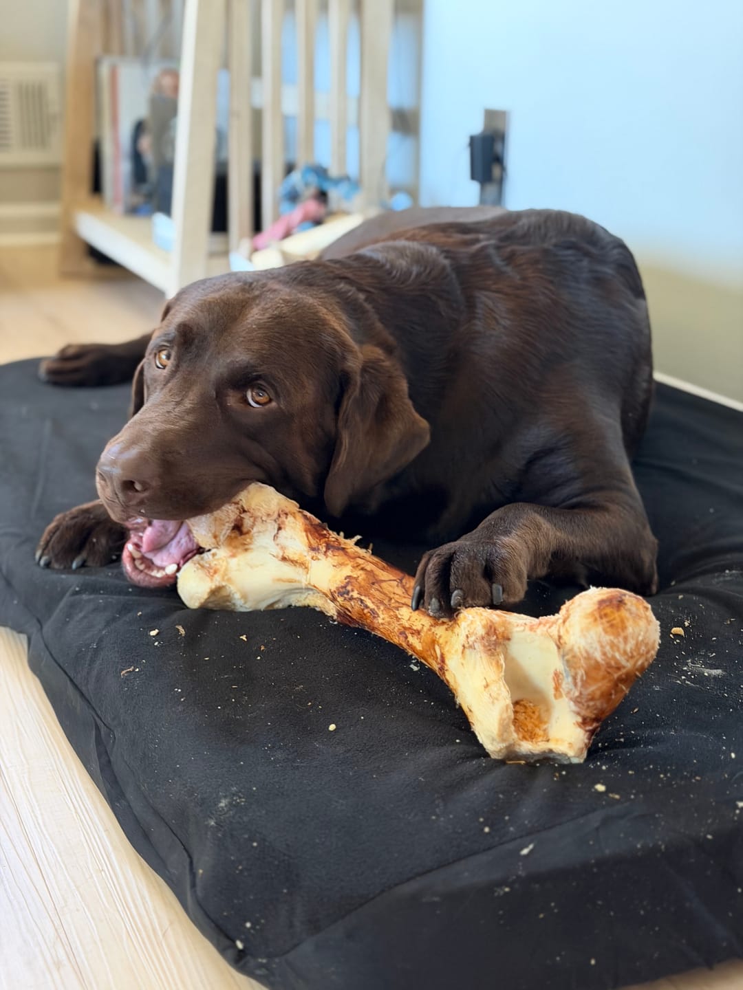 Customer photo review of Monster Femur Bone