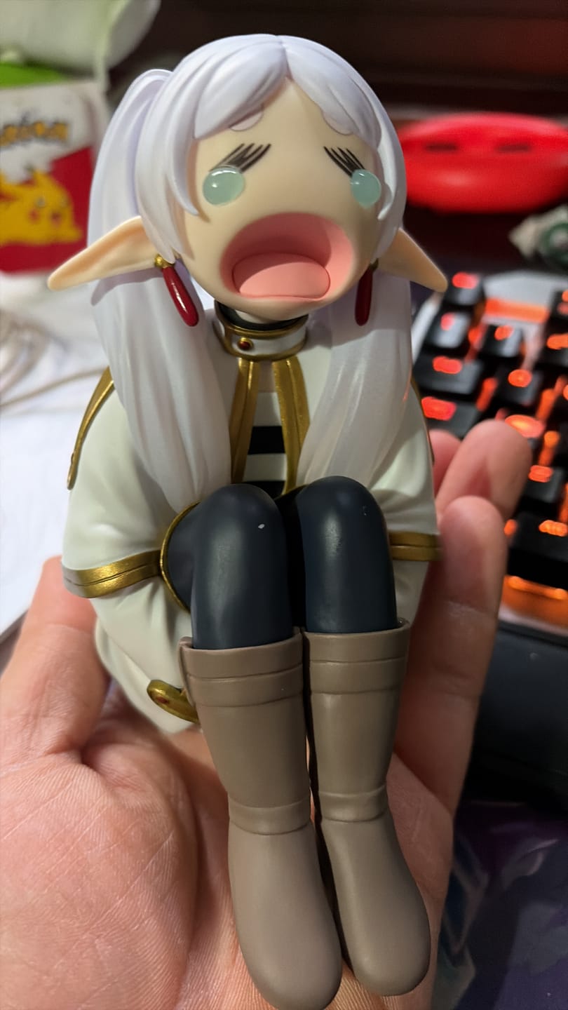 Customer photo review of Sousou no Frieren - Frieren - Uon (Bandai Spirits)