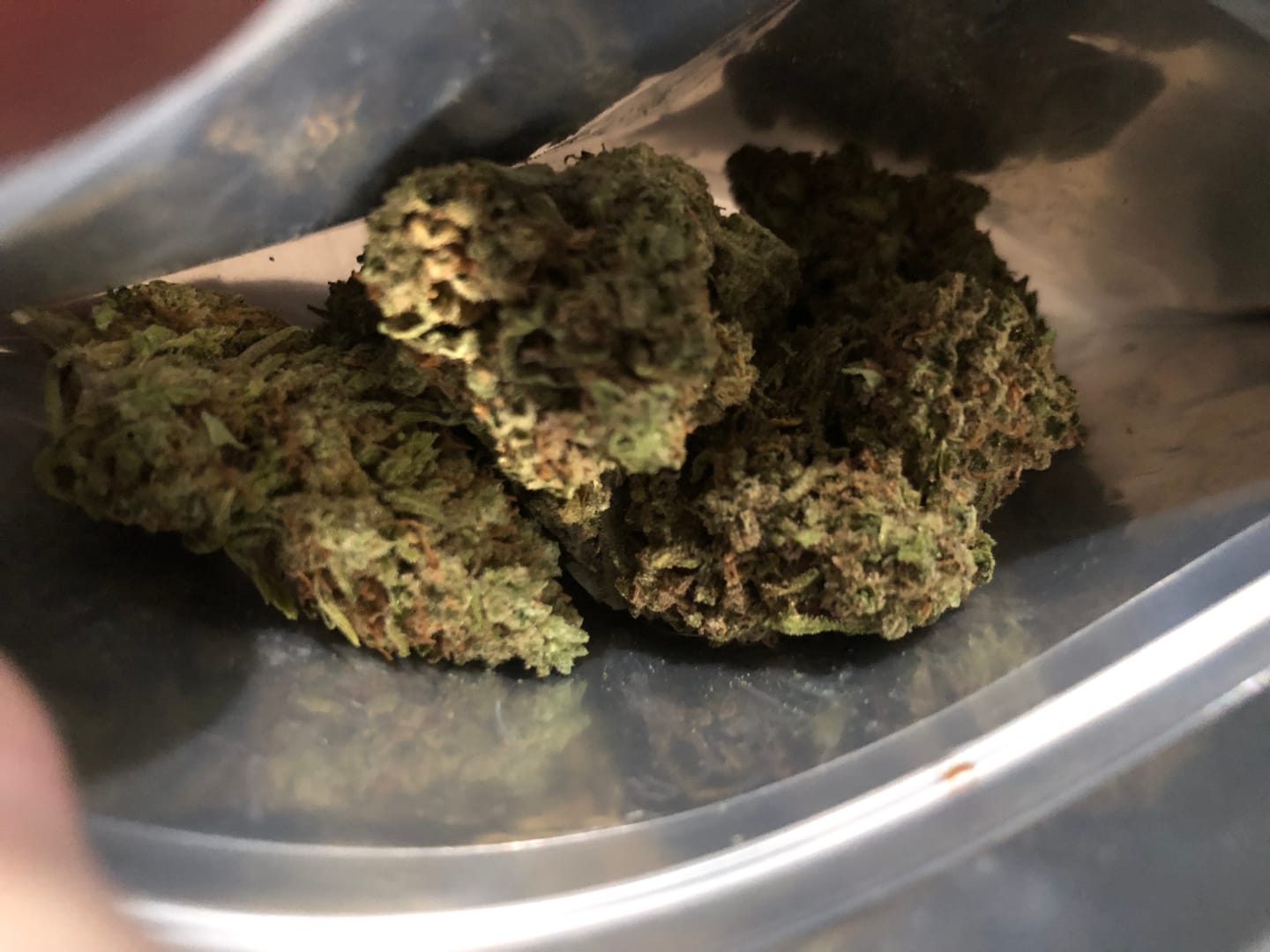 Customer photo review of THCA Queen
