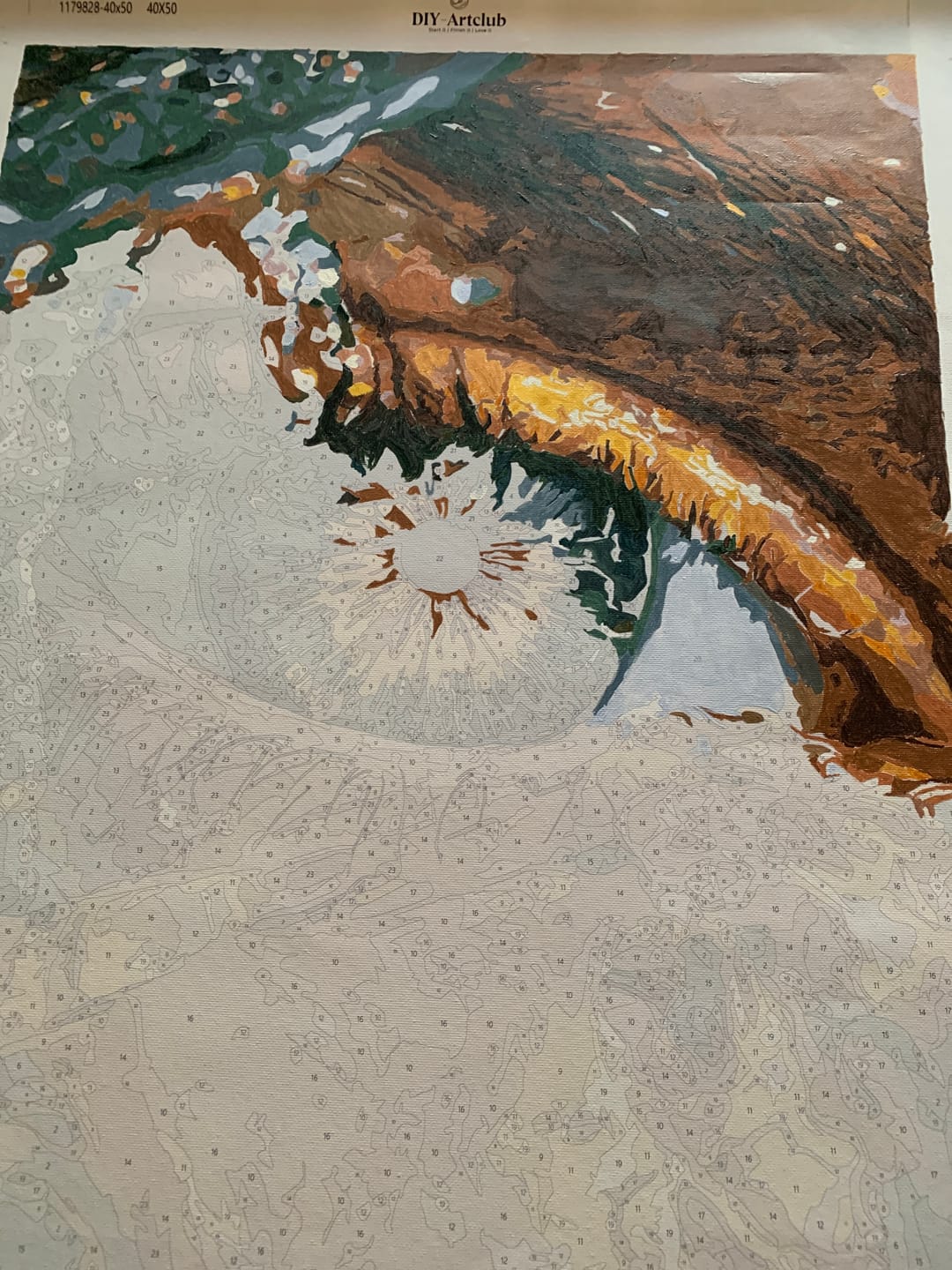 Customer photo review of Emerald Gaze | Paint by Number