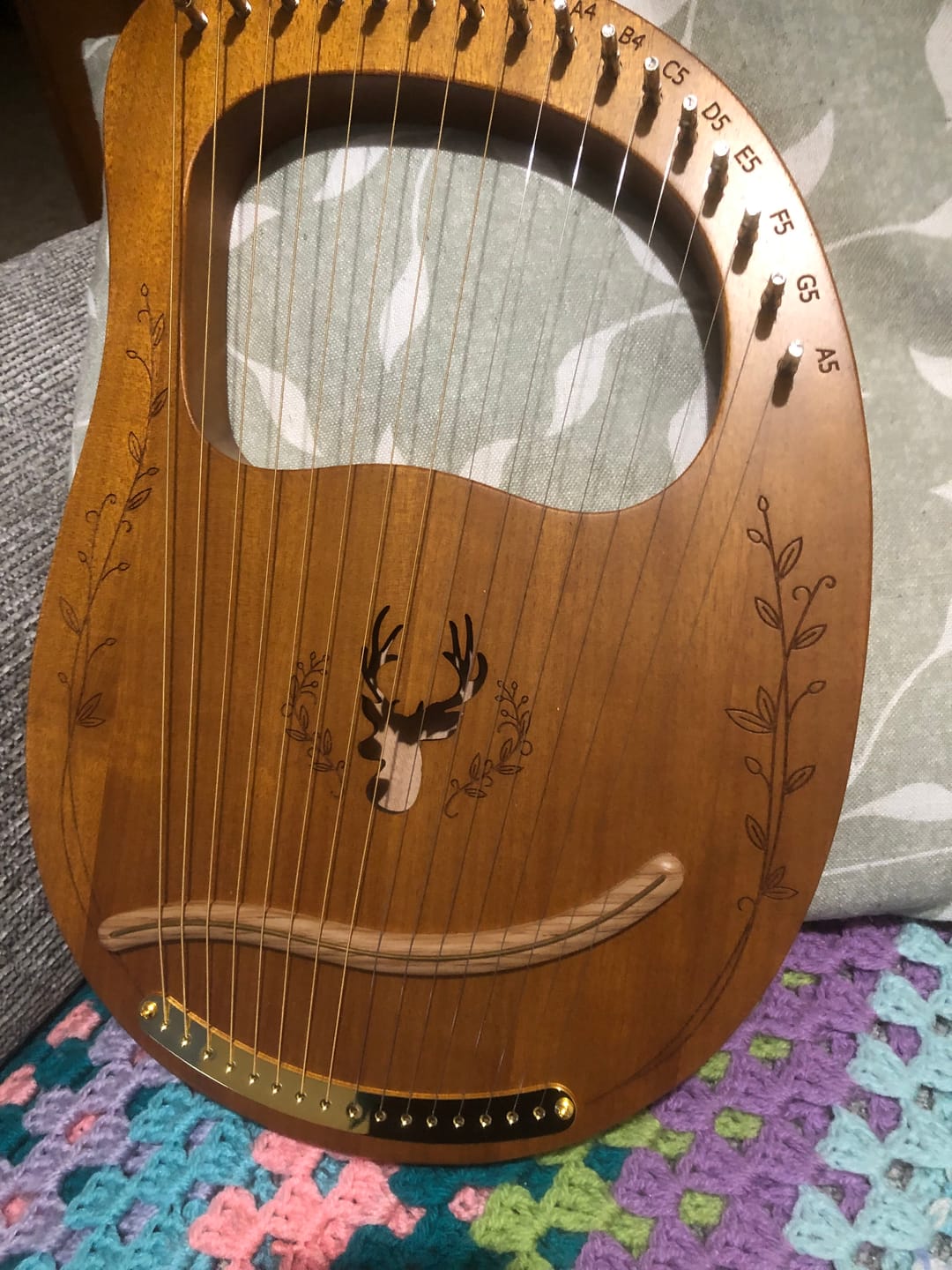 Customer photo review of NARA LYRE 16 String Mahogany w/Bag