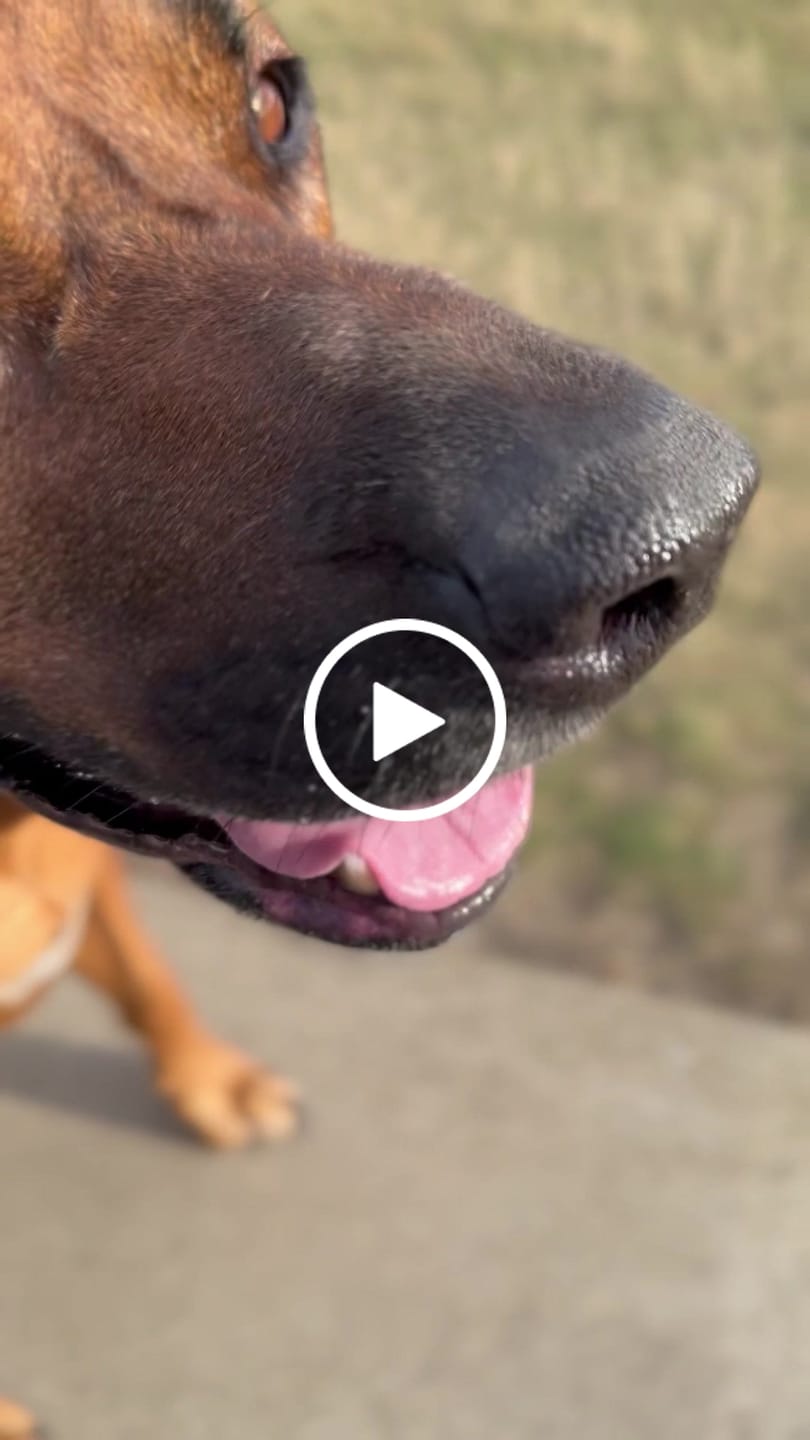 Customer video review of Personalisation Fee £8.99