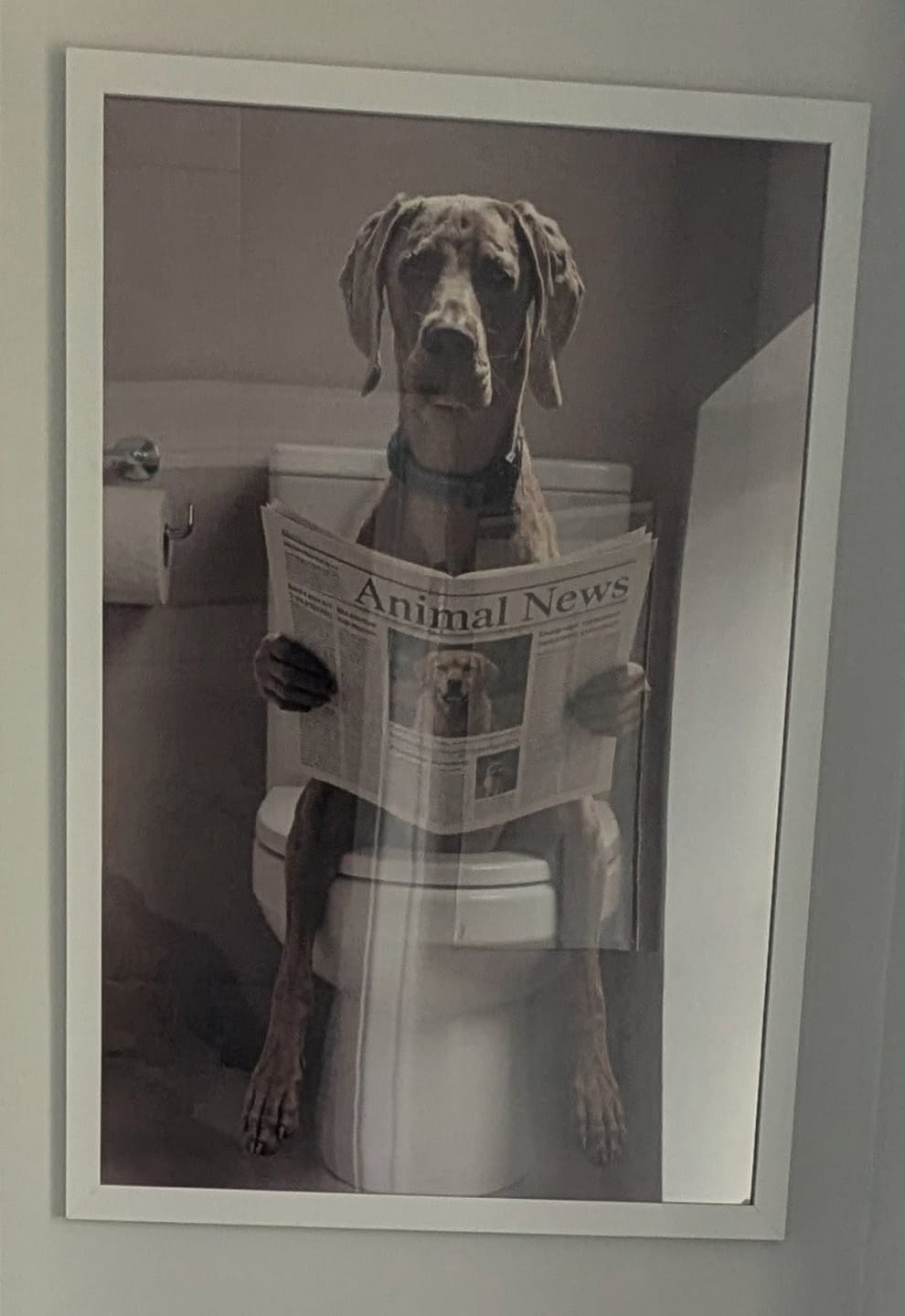 Customer photo review of Personalised Poster - Bathroom