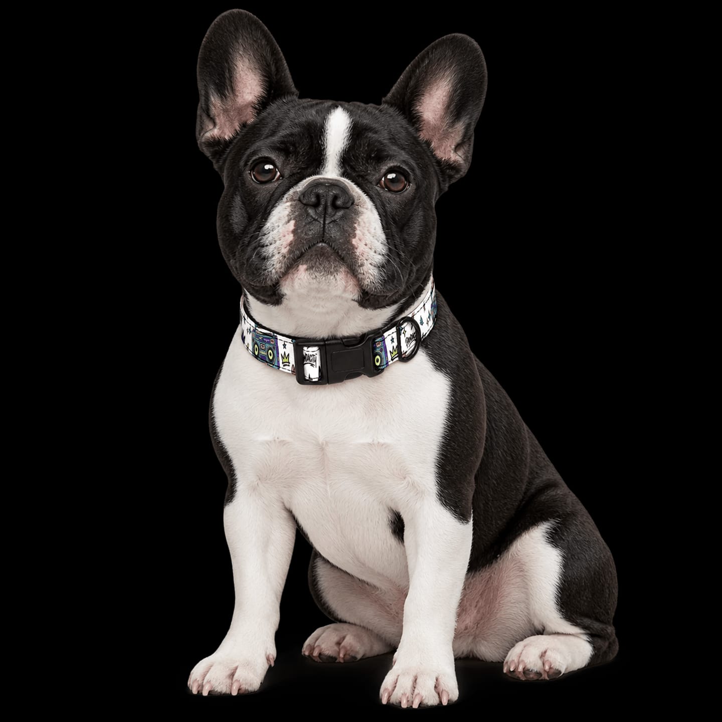 Customer photo review of Boombox Dog Collar