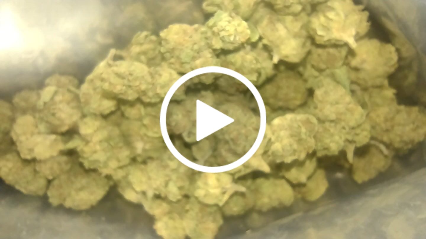 Customer video review of Cheap THCA Smalls Ounce