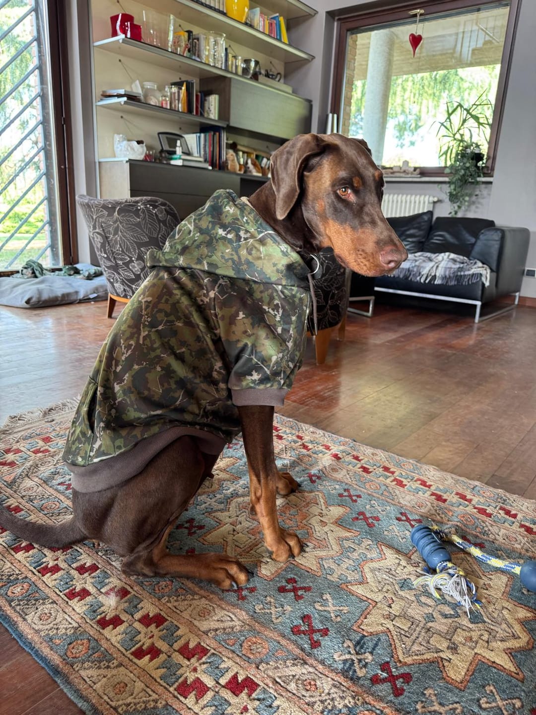 Customer photo review of Camo Dog Hoodies