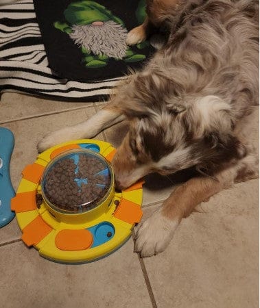 Customer photo review of Puzzle interactif - distributeur de croquettes