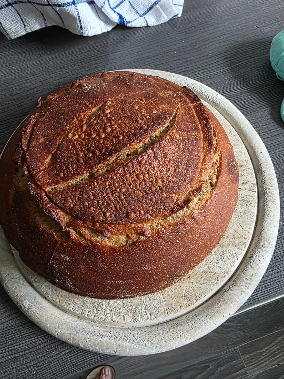 Customer photo review of Entdecker-Set (Sauerteig + Kombucha + Milchkefir)