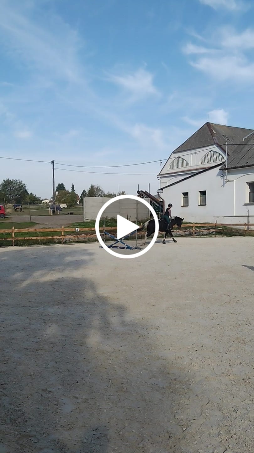 Customer video review of CRYSTAL KYLIE - RIDING LEGGINGS | LA LUNE