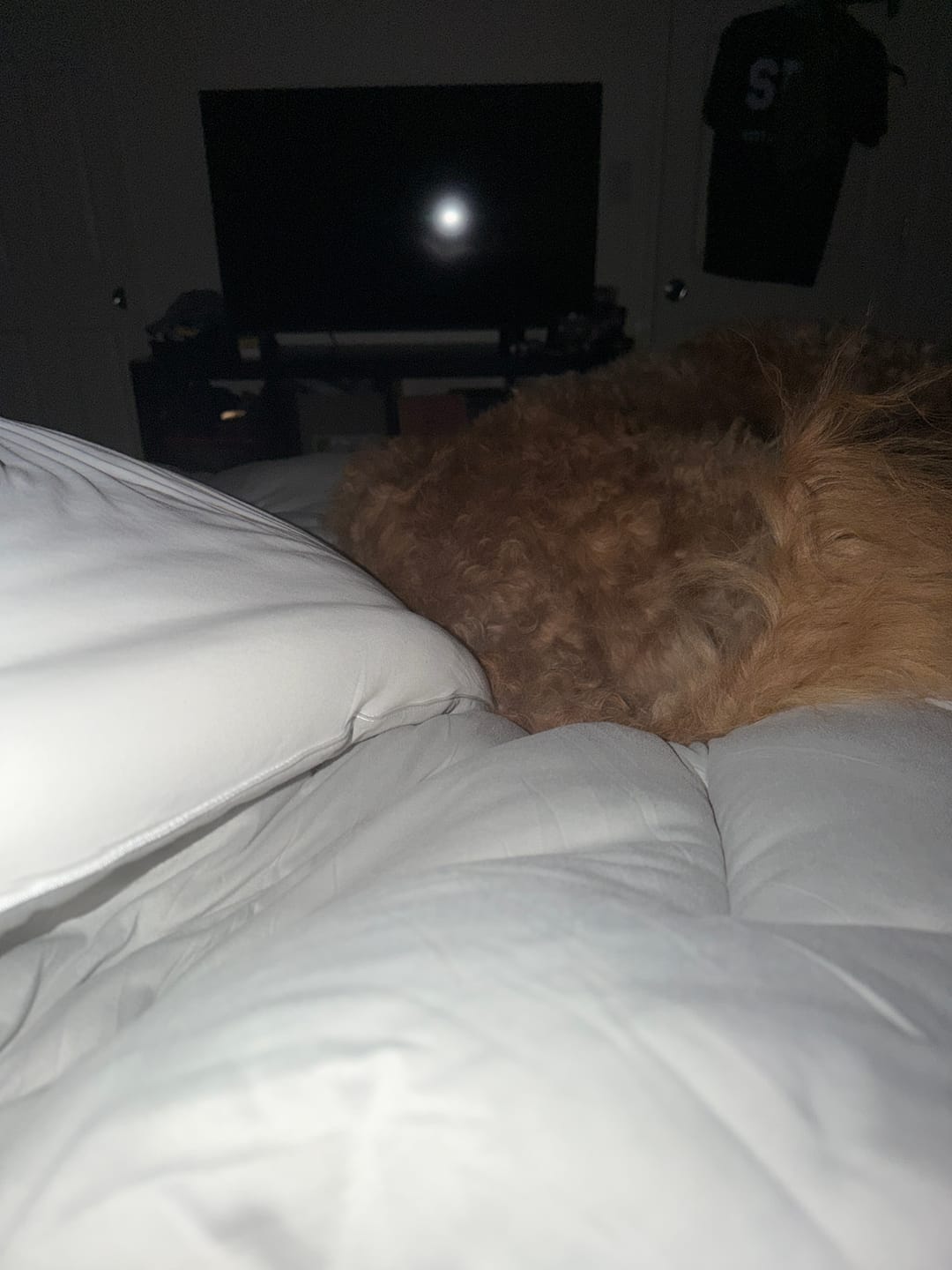 Customer photo review of CloudAlign Pillow