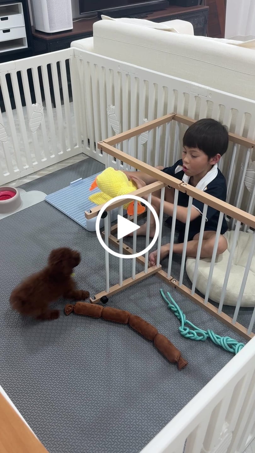 Customer video review of Protrusion Potty Pad (Size L)