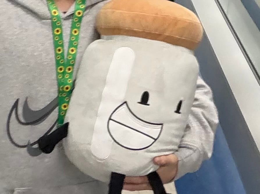 Customer photo review of Original Character (OC) Design Plush