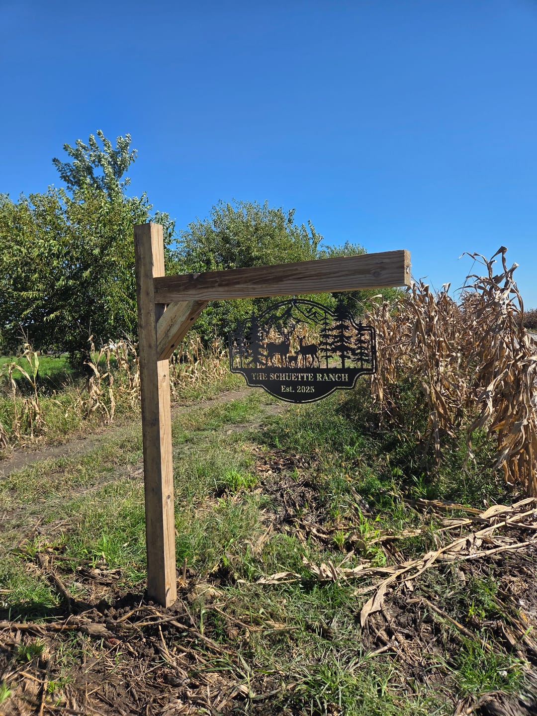 Customer photo review of Forest View Metal Sign