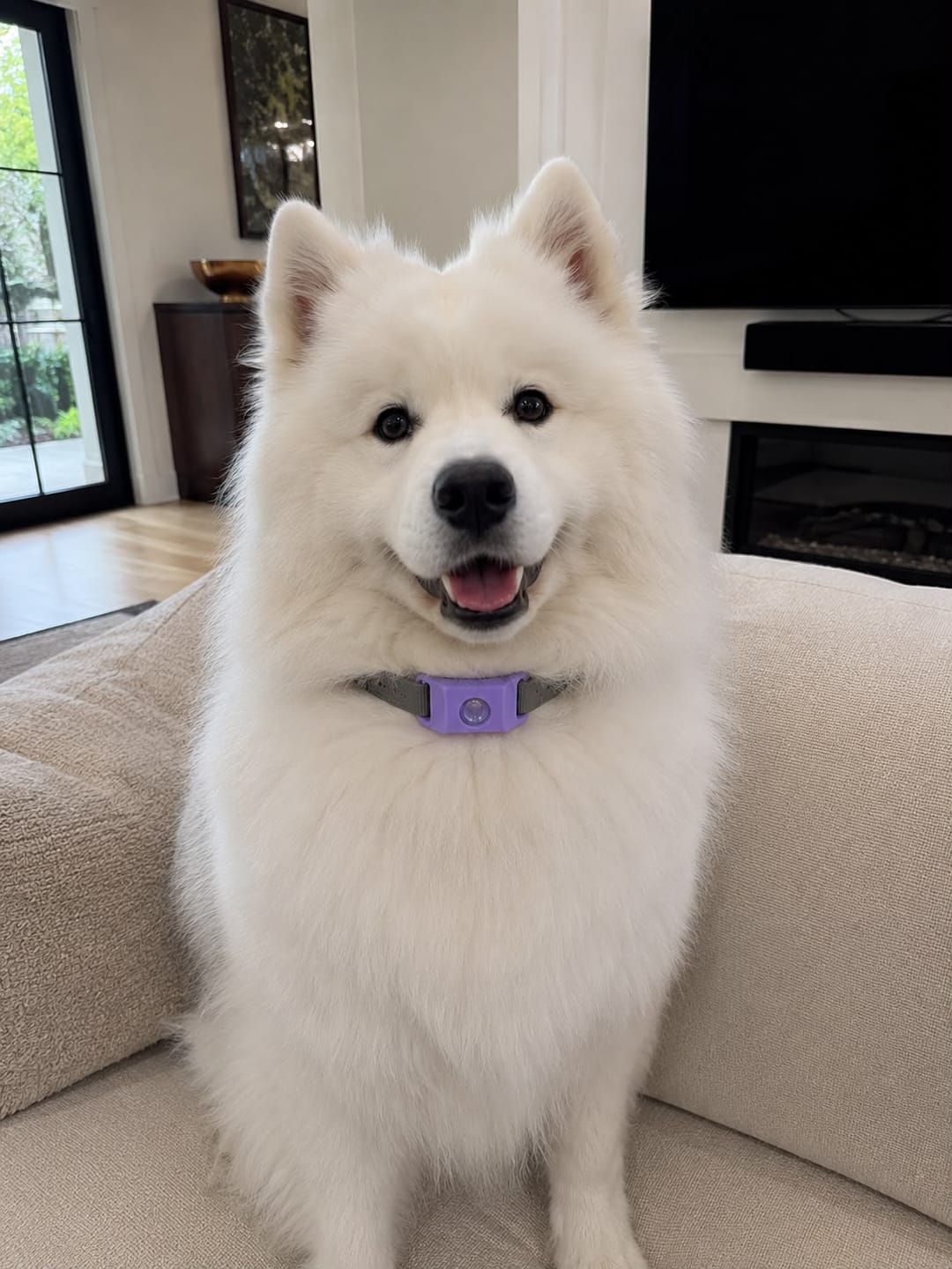 Customer photo review of CANIFORT™ Pendant | FREE Now