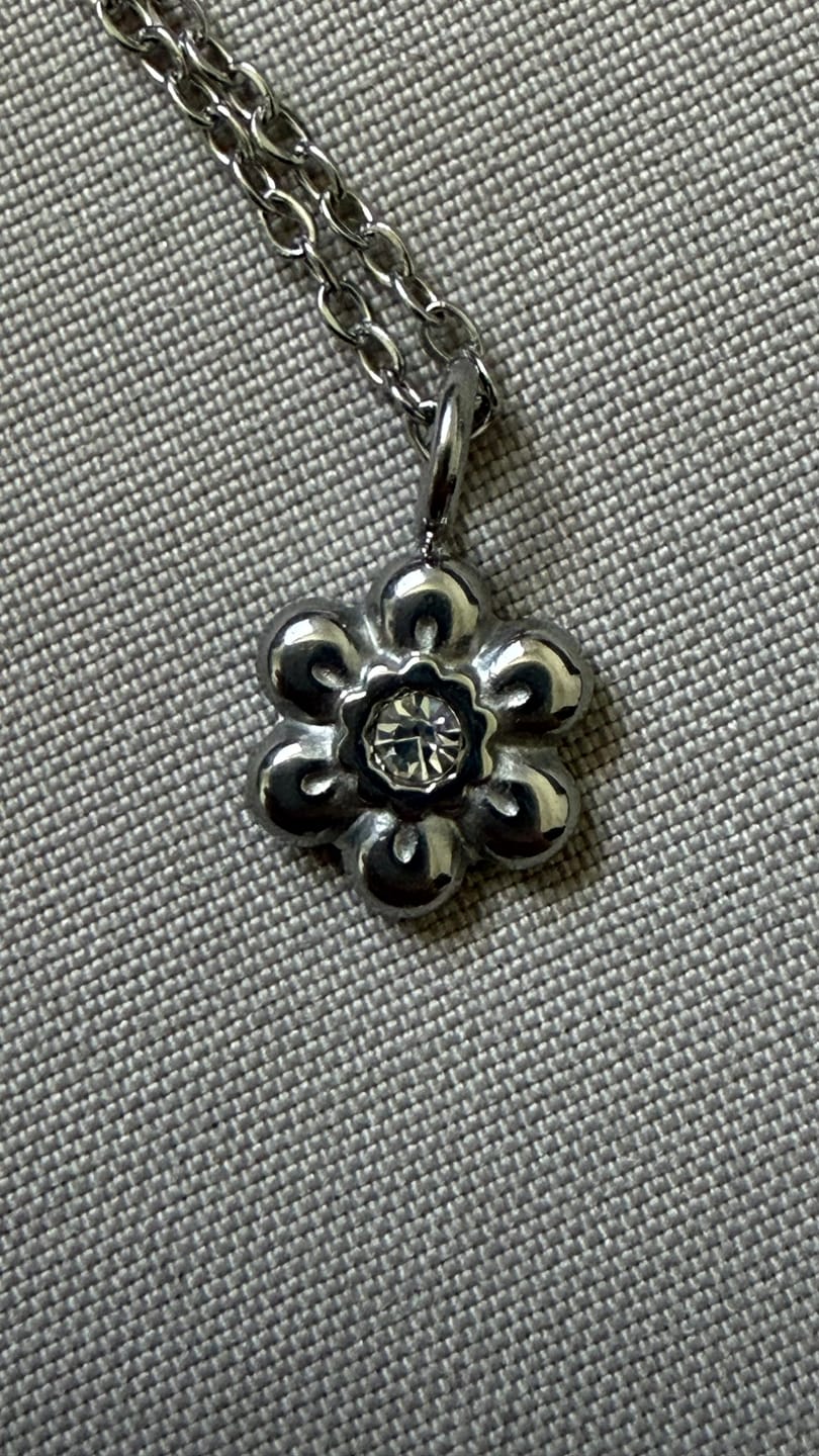 Customer photo review of Collar Posie Plata