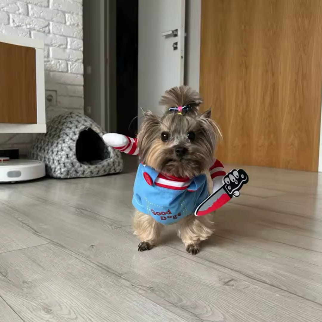Customer photo review of Disfraz de Halloween para mascotas