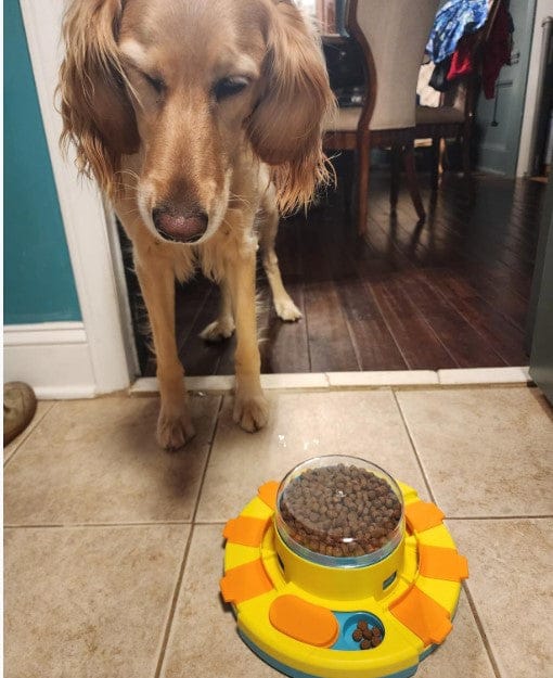 Customer photo review of Puzzle interactif - distributeur de croquettes