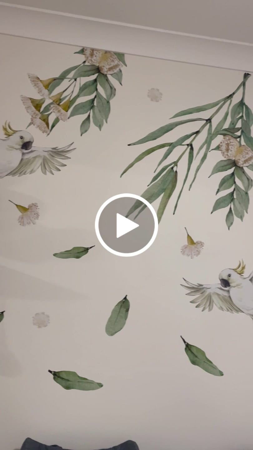 Customer video review of Pick 4 Australian Animal Wall Stickers