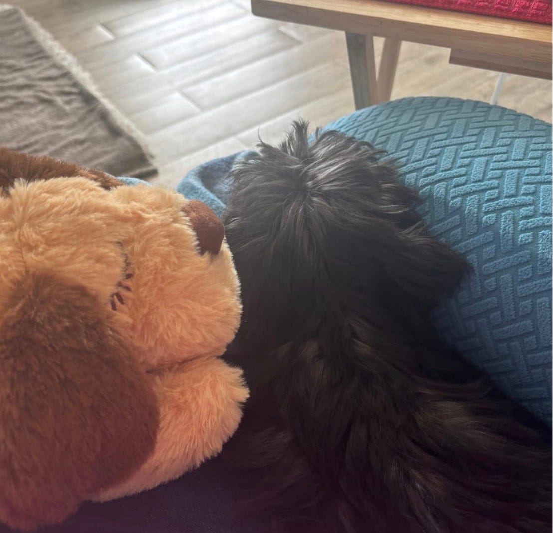 Customer photo review of Peluche con latido realista para perros