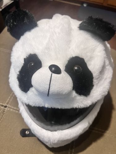 Customer photo review of Helmet Cover for Motorcycle Helmet, Fun Rides and Gifts