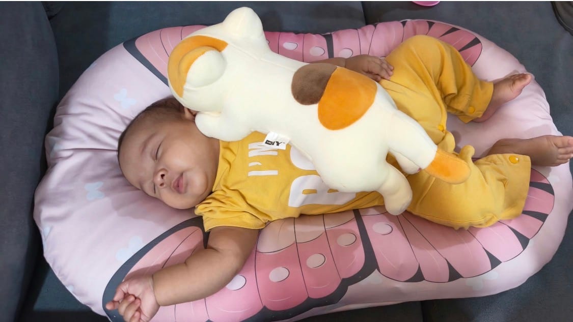 Customer photo review of Easy Care Infant Lounger | Co-Sleeping, Lounging, Play-Time