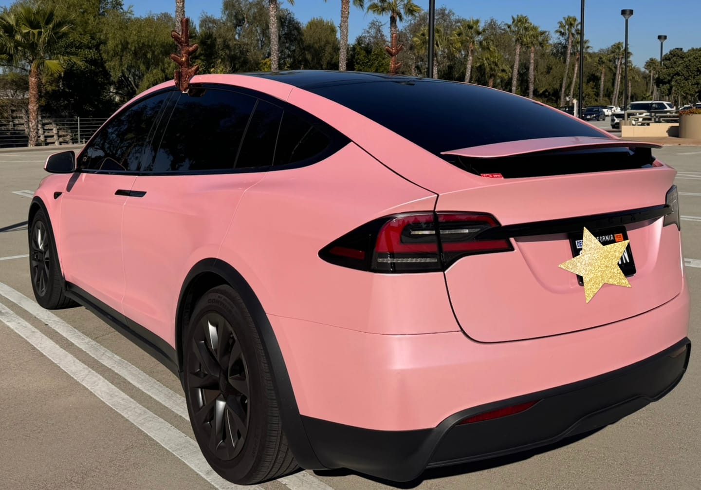 Customer photo review of Matte Metallic Pearl Baby Pink Vinyl Wrap