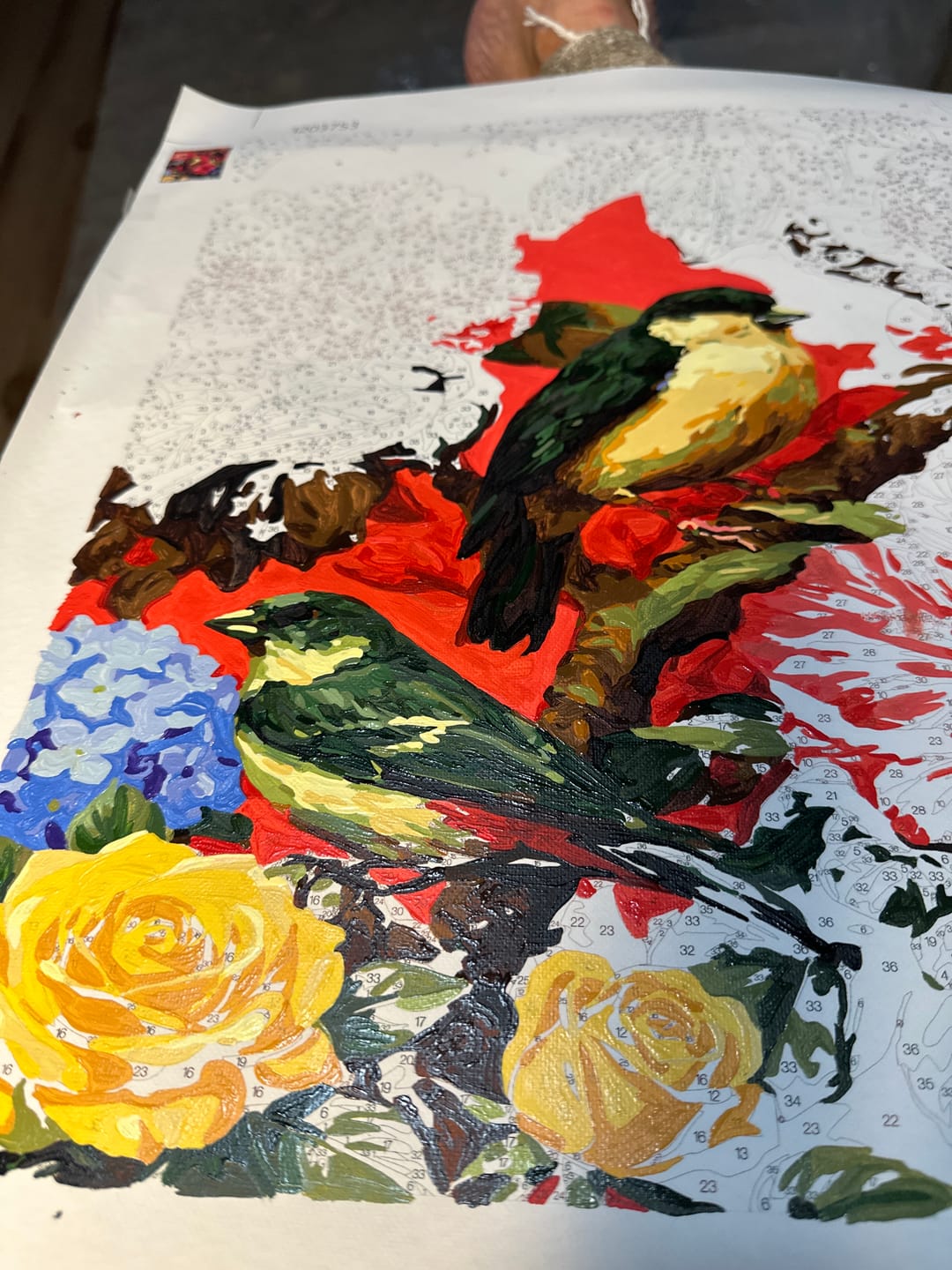 Customer photo review of Songbirds Hibiscus Red Backdrop (Paint by Numbers)