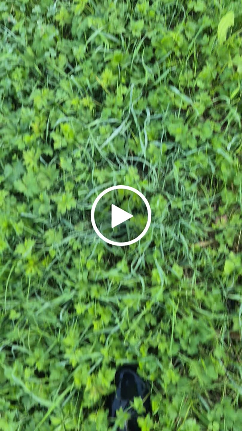 Customer video review of Brisk Ⅰ - Barfuß-Gummistiefel