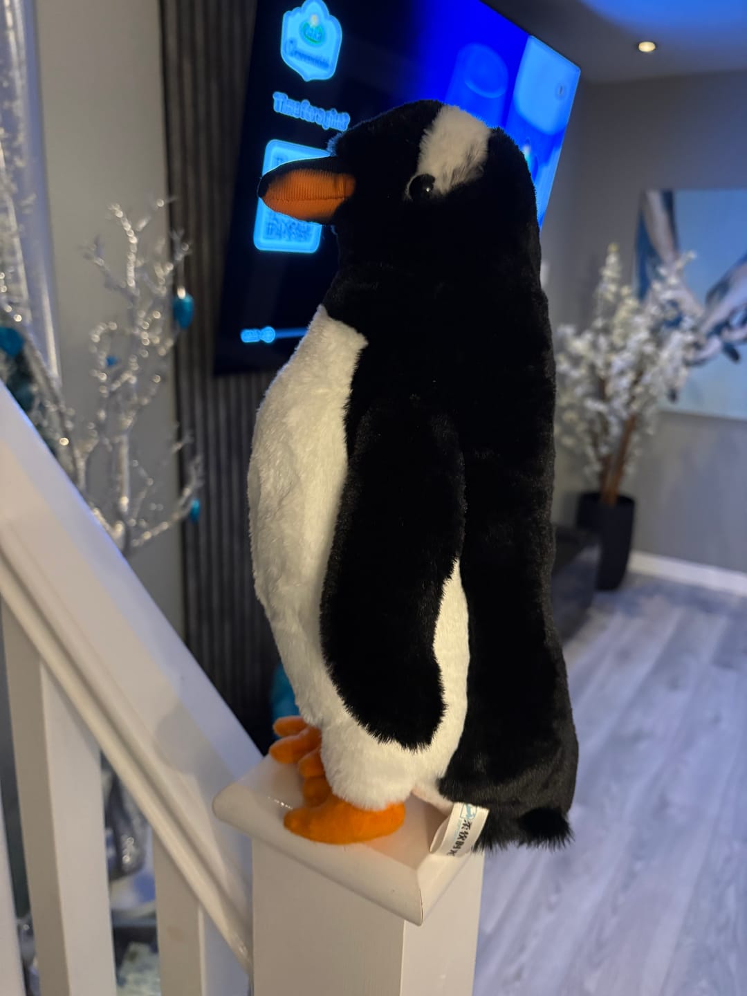 Customer photo review of Gentoo Penguin Plush – Realistic, Adorable and Soft Stuffed Toy for Nature Lovers