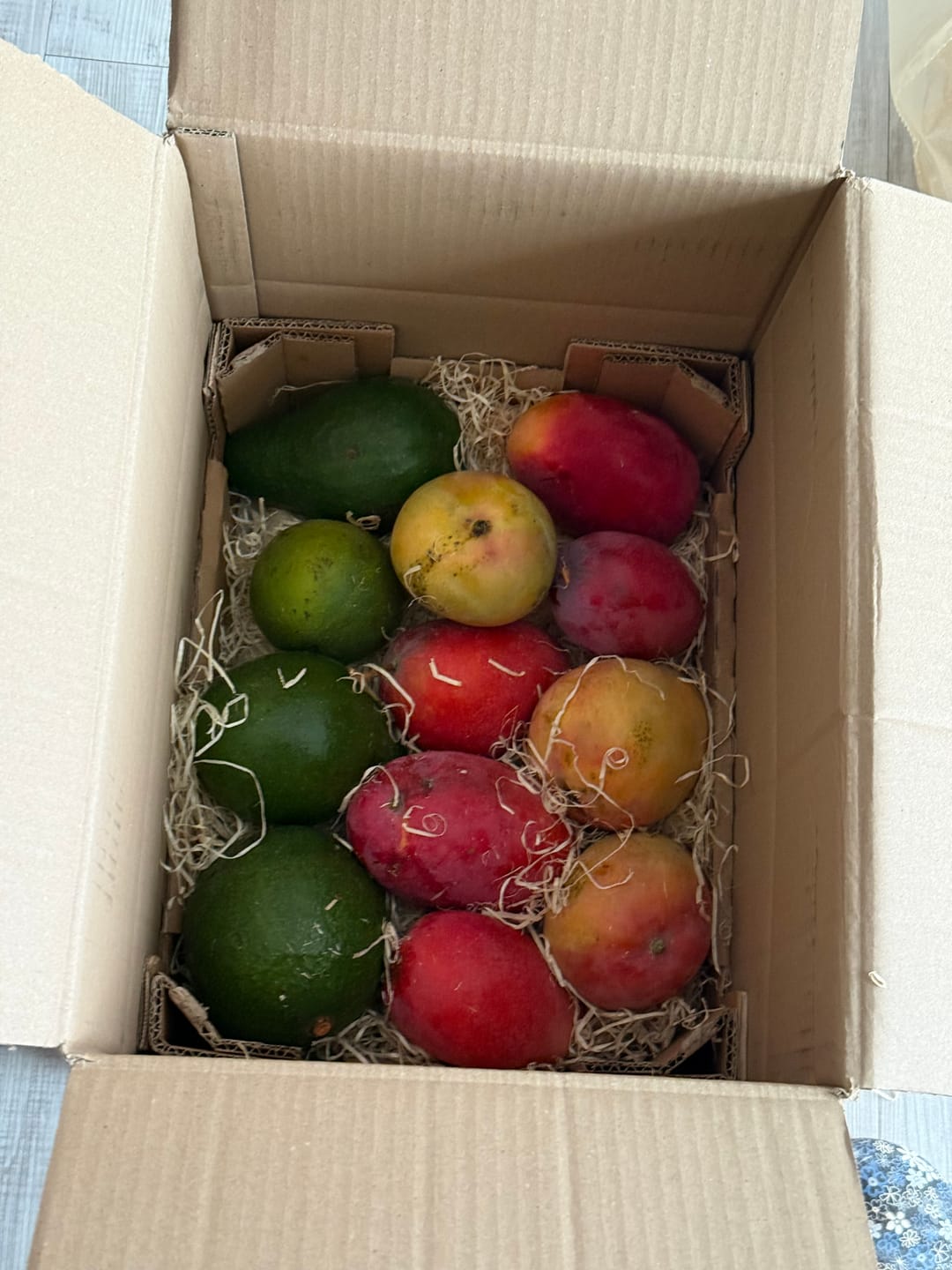 Customer photo review of Mango Mix von Juan 3kg Sonderaktion %