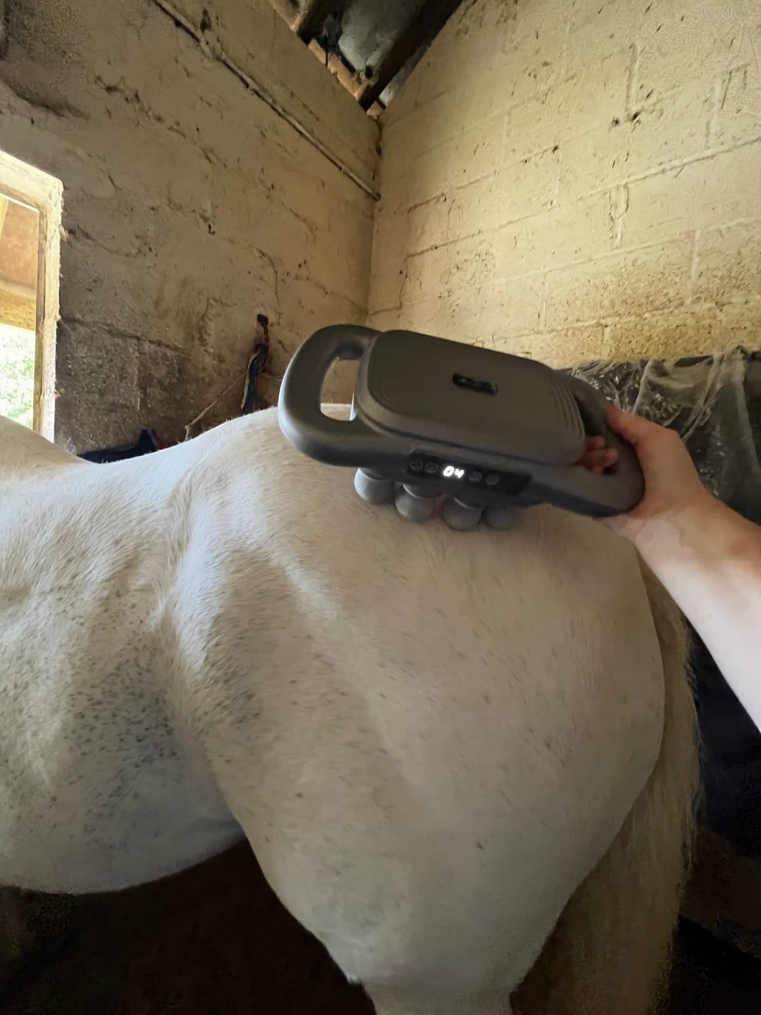 Customer photo review of HorseHalo™ 8 Heads Red Light Massage Gun