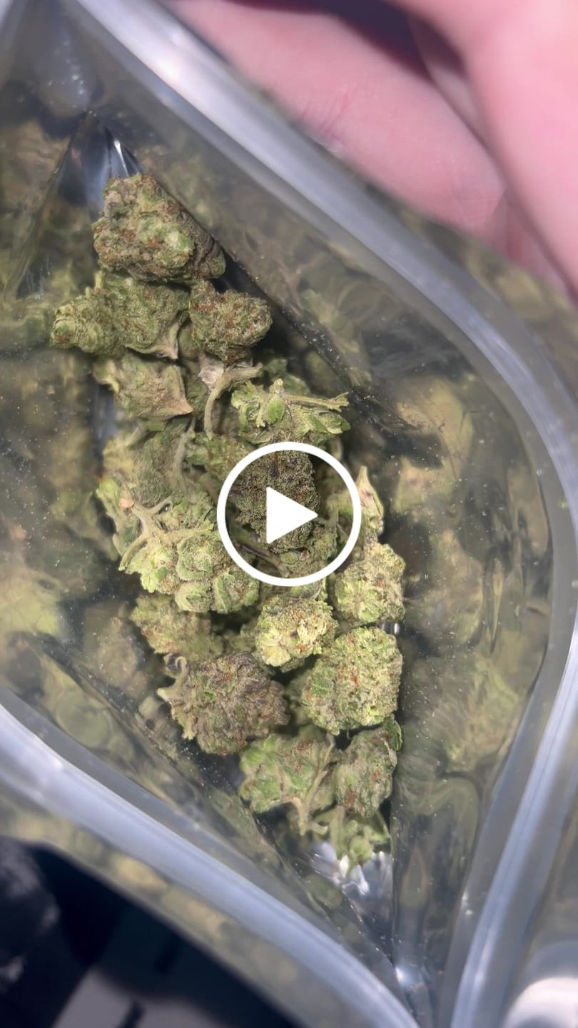 Customer video review of L'Orange THCA Flower