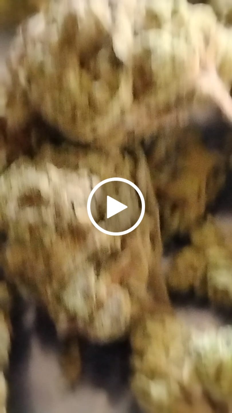 Customer video review of UK Cheese - Bulk - Hybrid