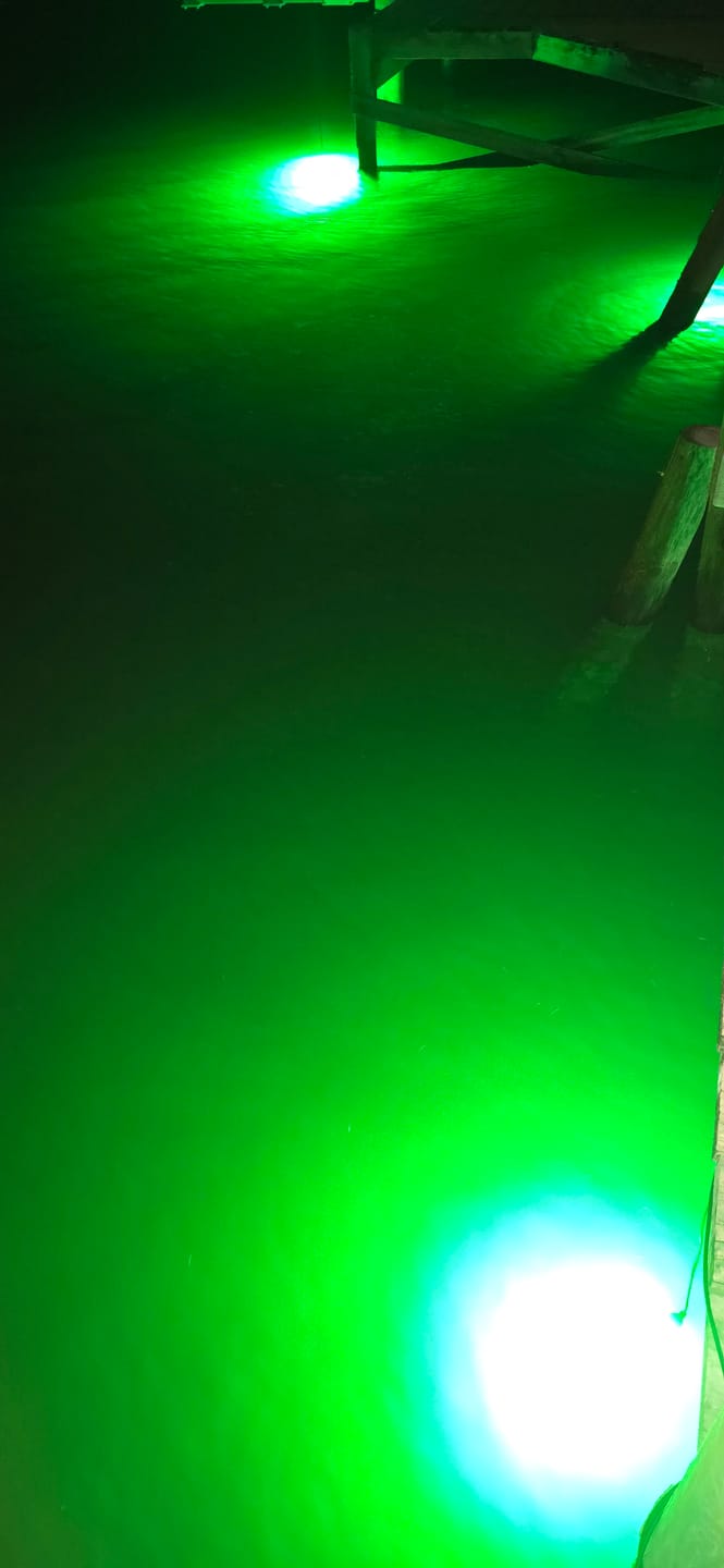 Customer photo review of HG250G Underwater Fishing Light
