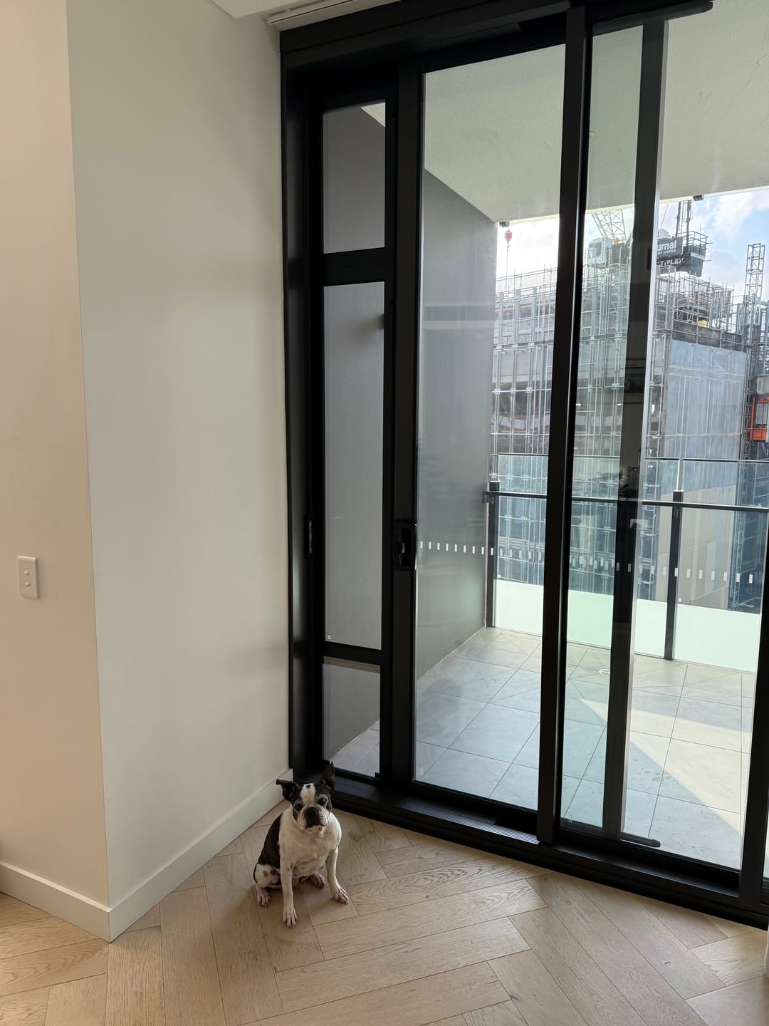 Customer photo review of Pet Door Inserts