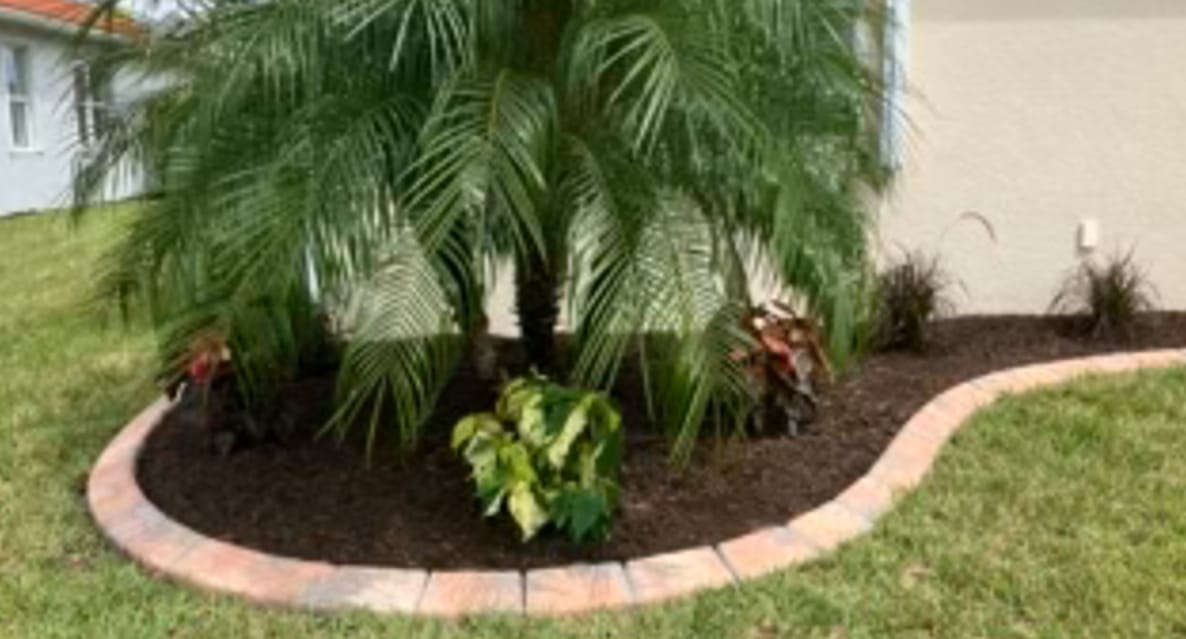 Customer photo review of CopperLeaf - Yellow