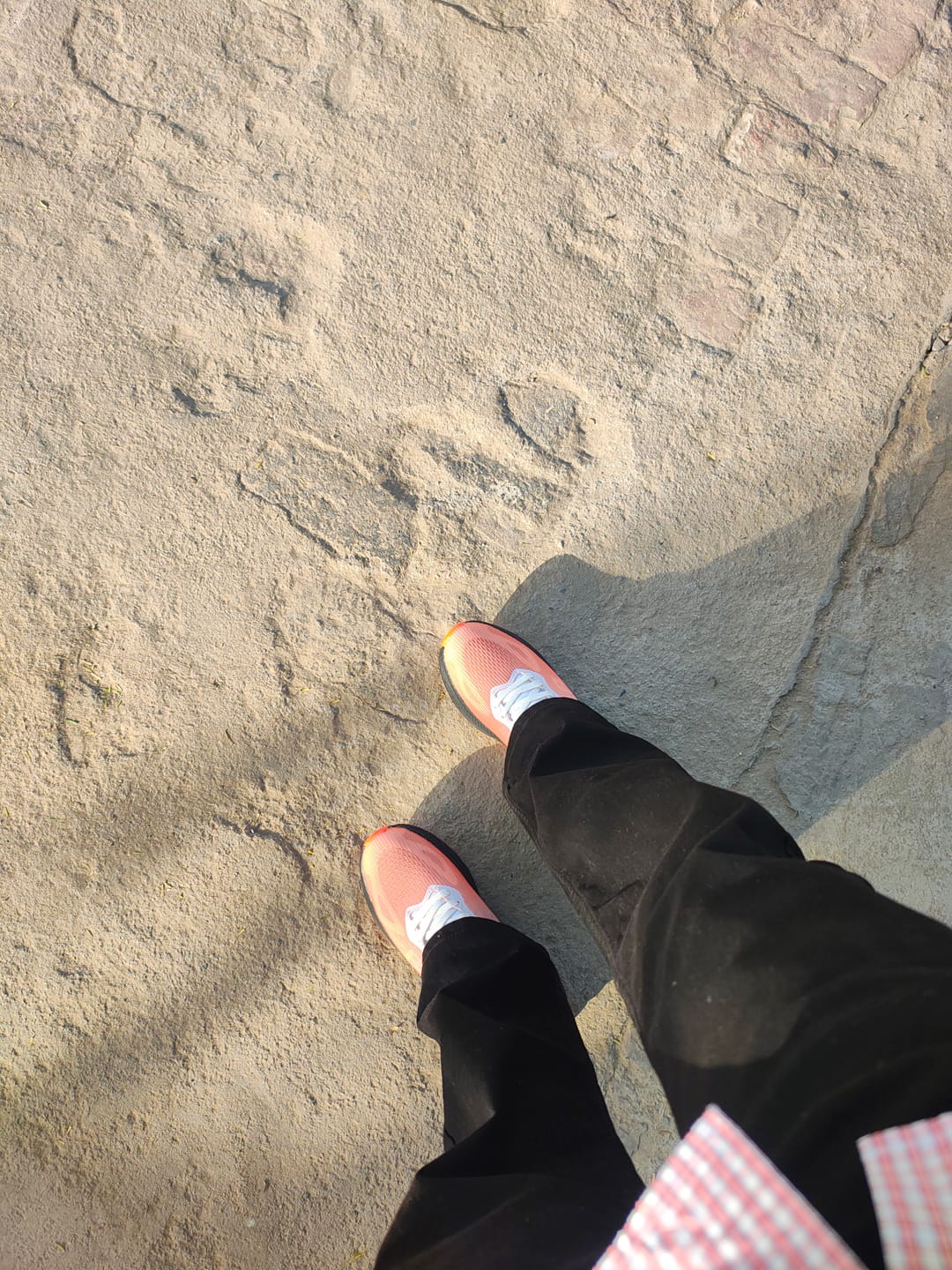 Customer photo review of Flux Pioneers