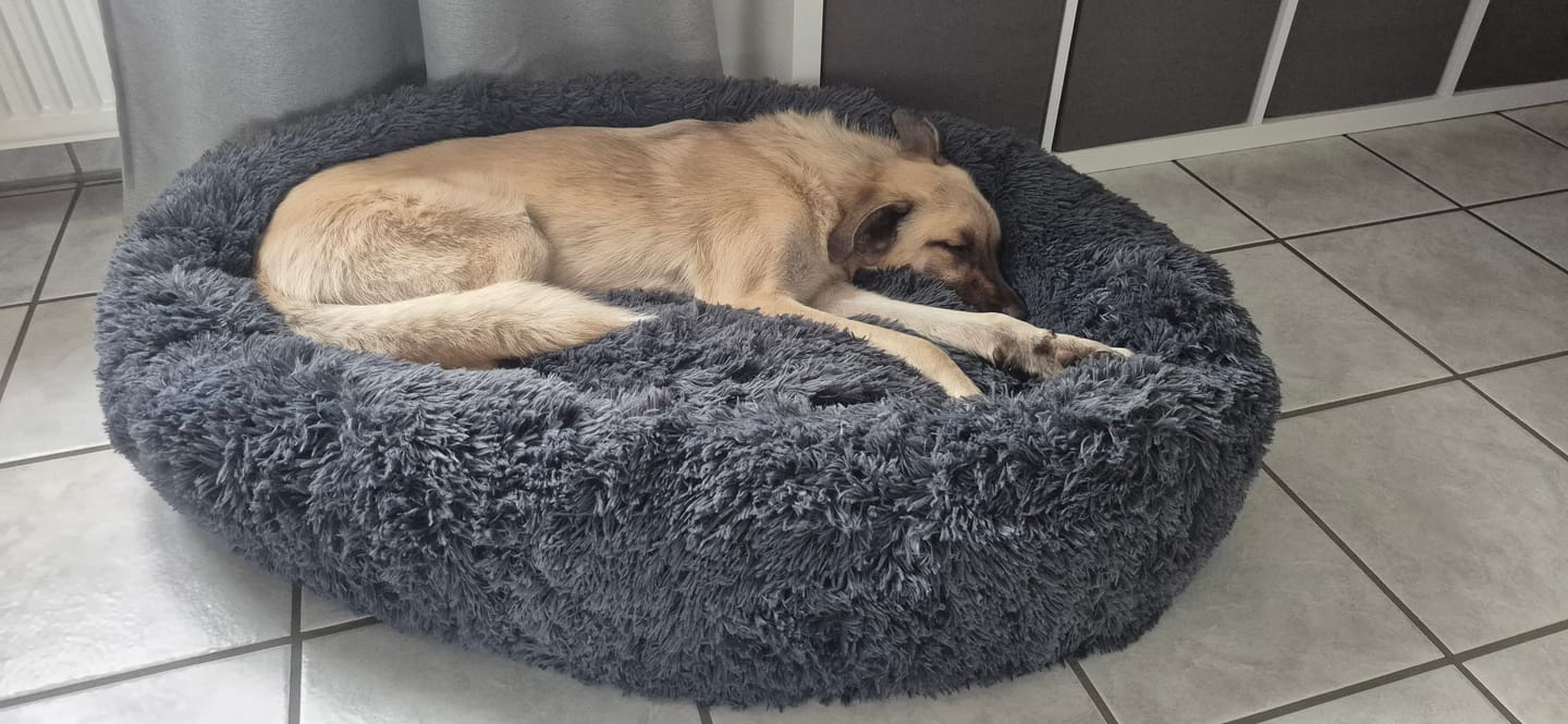 Customer photo review of Puppery Hundebett Wolke 7 - Das Original