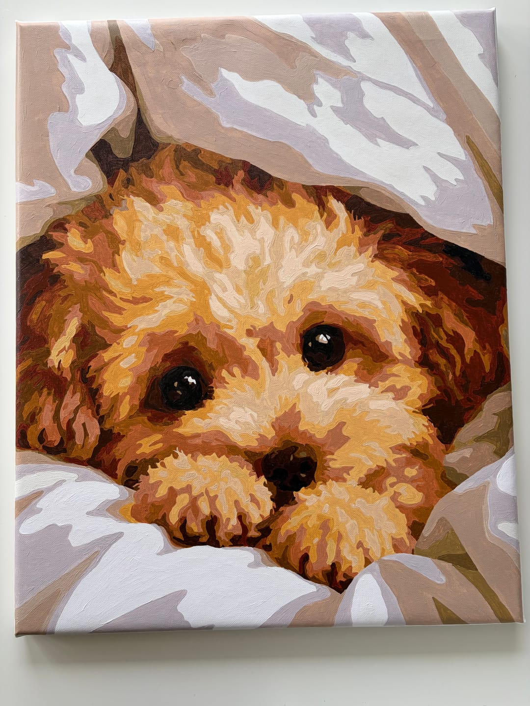 Customer photo review of Cozy Paws | Paint by Number