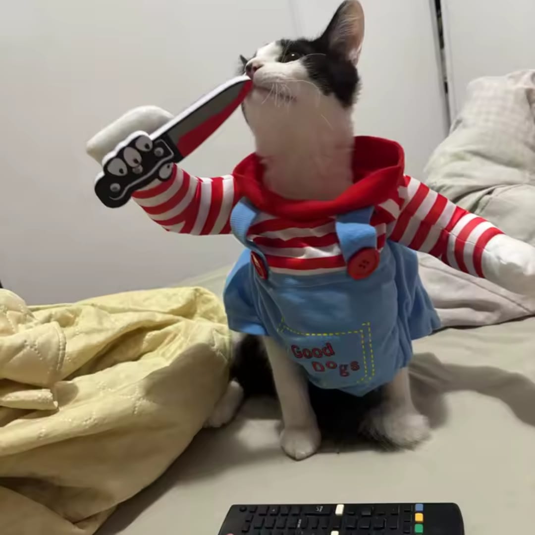 Customer photo review of Disfraz de Halloween para mascotas