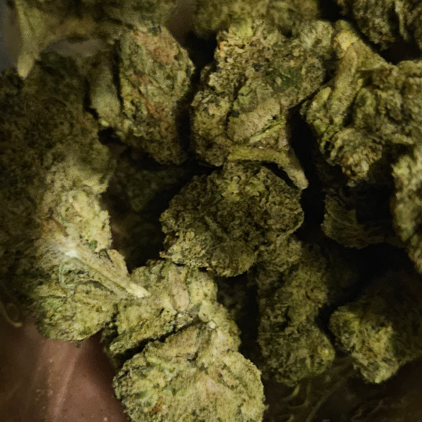 Customer photo review of Light Assist THCA Smalls