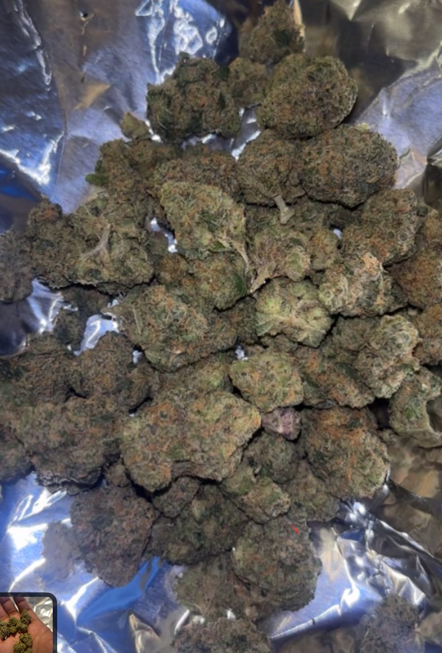 Customer photo review of Biscotti THCA Flower (Premium)